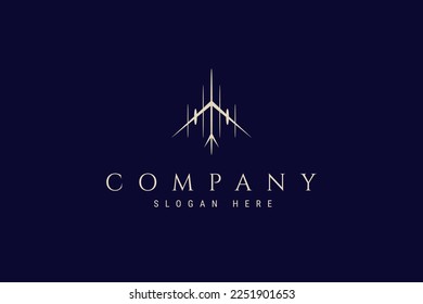Passenger airplane logo in gold color with linear design style