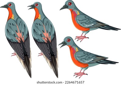 Passenger pigeon extinct animal collection illustration