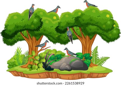 Passenger pigeon extinction bird illustration