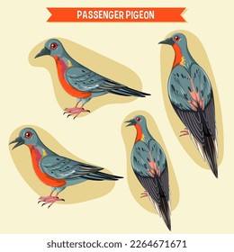 Passenger pigeon extinction bird illustration