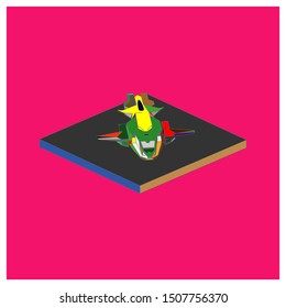 Passenger plane in isometric view. White flat airplane. 3D object for games and infographics. Vector illustration. Aircraft for travel and tourism.