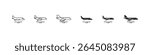 Passenger plane size icons in flat and outline vector styles. Aircraft illustrations from small to large scale