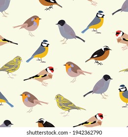 Passerine birds seamless pattern design