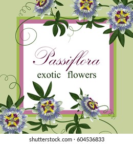 Passiflora exotic flowers. Template for postcards, greeting cards, wedding invitations. Vintage tropical floral composition.