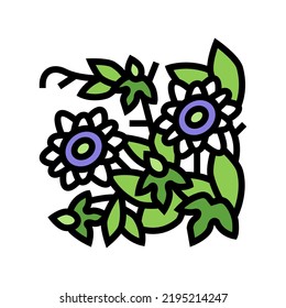passiflora flower liana color icon vector. passiflora flower liana sign. isolated symbol illustration