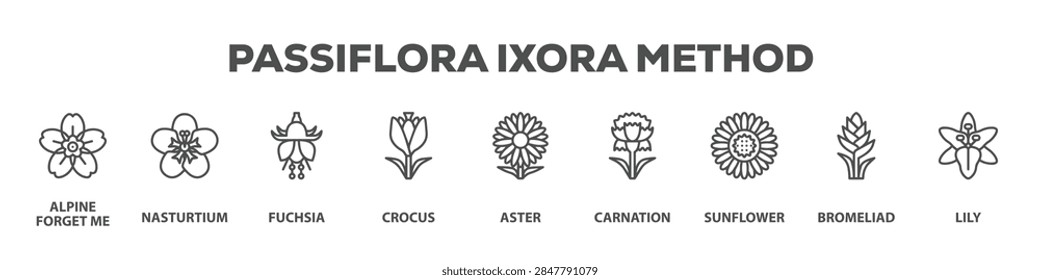 Passiflora Ixora Method with icon of Alpine forget me not, Nasturtium, Fuchsia, Crocus, Aster, Carnation, Sunflower, Bromeliad, Lily