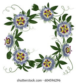 Passiflora round frame. Composition with exotic branch isolated on white. Background for wedding invitations, greeting cards.