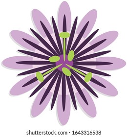 Passiflora  Simple Illustration Clip Art Vector