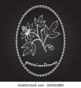 passion flower vector art