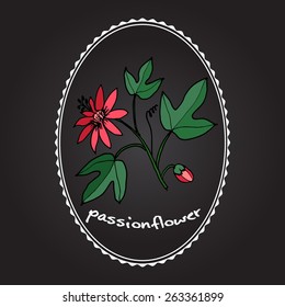 passion flower vector art