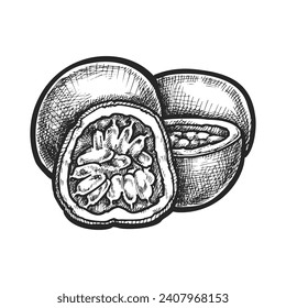 Passion fruit berry sliced in half. Vector sketch of tropical exotic fruit. Illustration for meal cooking and botany. Image for agriculture and summer harvest. Healthy nutrition and food. Maracuja