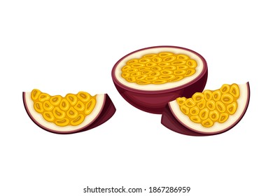 Passion Fruit Cross Section with Juicy Flesh Containing Numerous Seeds Vector Illustration