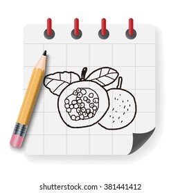 Passion Fruit doodle
