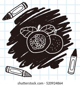 Passion Fruit doodle