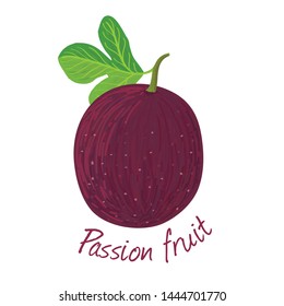 Passion fruit doodle drawings vector illustration.