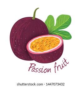 Passion fruit doodle drawings vector illustration.