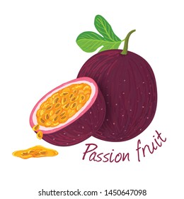 Passion fruit doodle drawings vector illustration.