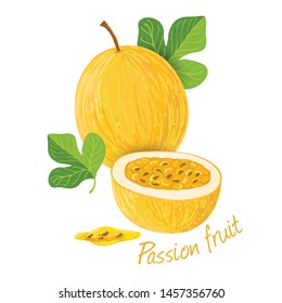 Passion fruit doodle drawings vector illustration.