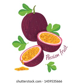 Passion fruit doodle drawings vector illustration.