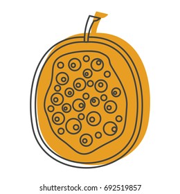 Passion fruit in doodle style icons vector illustration for design and web isolated on white background. Passion fruit vector object for labels and logo