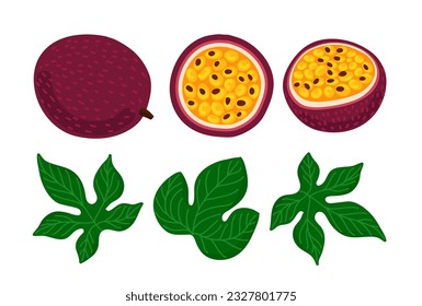 passion fruit drawing beautiful freehand