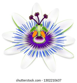Passion fruit flower isolated on a white background.