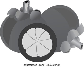 Passion fruit. Grayscale image of food. Vector illustration isolated on white background.