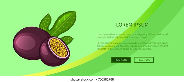 Passion fruit with green leaf on abstract background. Web banner design. Vector illustration.