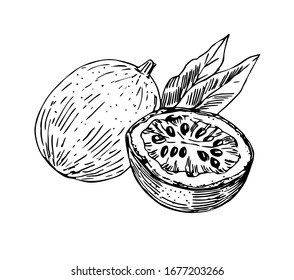 Passion Fruit With Half And Leaves In Line Art Style.