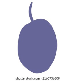 passion fruit hand drawn illustration