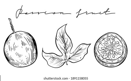 Passion fruit hand drawn vector set