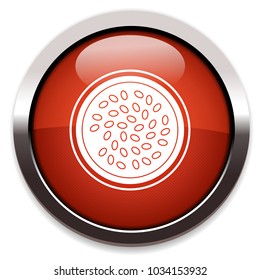 passion fruit icon