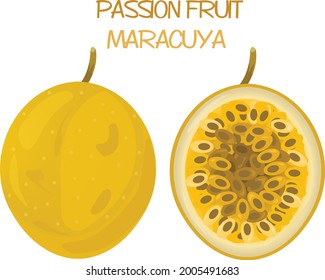 Passion Fruit Icon Illustration Vektordesign. Passion Fruit Icon Cartoon Vektordesign. Maracuya Fruit. Frisch gelbes Obst