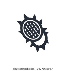 passion fruit icon. vector.Editable stroke.linear style sign for use web design,logo.Symbol illustration.