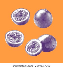 Passion fruit illustration, halftone vector line drawing on orange background.