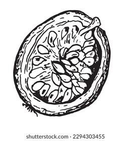 Passion fruit illustration isolated on white background. Half fruit, piece of maracuya vector hand drawn. Design element for wrapping, menu, market, herbal tea, ice-cream, stickers, tableware
