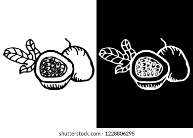 passion fruit isolated hand drawn sketch