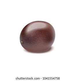 Passion fruit isolated on white background vector realistic illustration