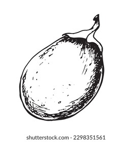 Passion fruit isolated on white background. Tropical fruit maracuja hand drawn vector illustration. Design element for wrapping, menu, market, herbal tea, ice-cream, stickers, tableware