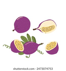 Passion fruit isolated on white background. Set of exotic sweet dessert. Whole and slice of ripe tropical passionfruit. Vector hand drawn flat illustration.