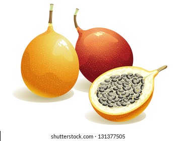 Passion Fruit, Isolated Vector Fruit