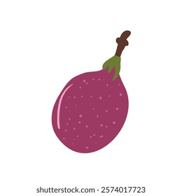 Passion fruit isolated. Vector exotic sweet passionfruit food. Hand drawn flat illustration isolated on white background.