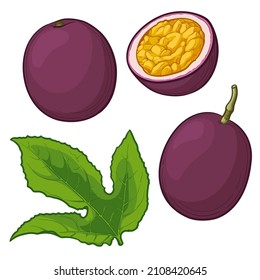 Passion fruit and passion fruit leaf. Vector illustration.