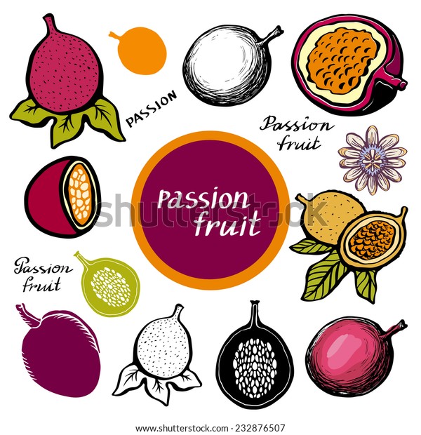 Passion Fruit Leaves Flower Exotic Tropical Stock Vector Royalty Free