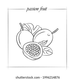 ilustración vectorial de línea de fruta de pasión