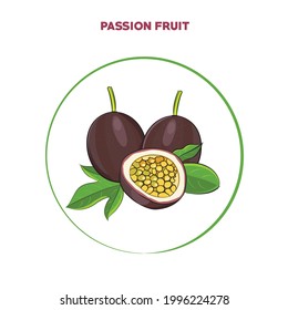passion fruit line drawing vector illustration
