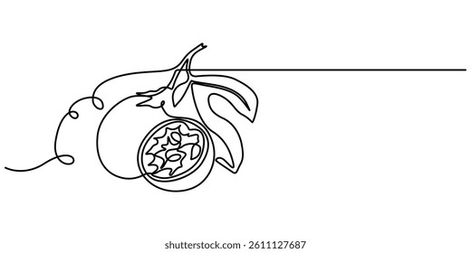 Passion fruit, maracuya simple color vector illustration. One line art drawing with lettering organic passion fruit, Passion fruit continuous one line drawing, fruit vector illustration.,  Fresh style