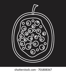 Passion fruit in outline style icon vector illustration for design and web isolated on black background. Passion fruit vector object for label and logo