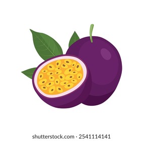 Passion fruit. Passiflora edulis. Purple Passion fruit with half piece and leaf vector illustration.