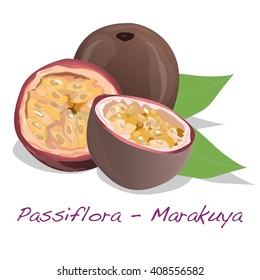 Passion fruit - Passiflora edulis vector on white background